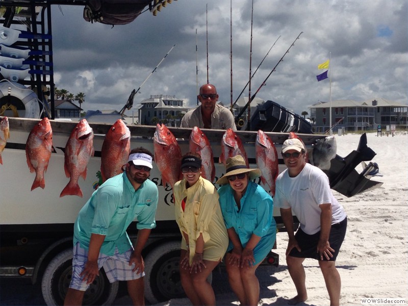 A fine limit of red snapper